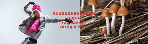 apvp Магас