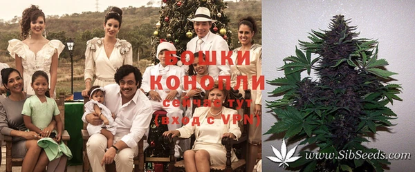 прущие крисы Майский